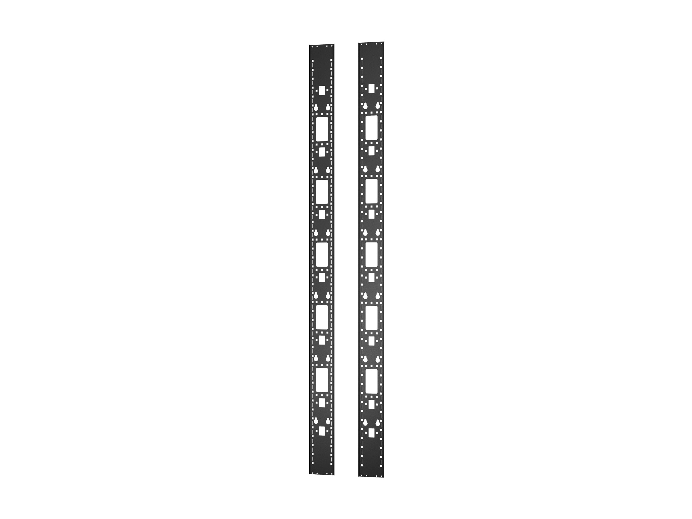 APC Easy Rack Vertical 0U accessory channel 48U Vorderansicht