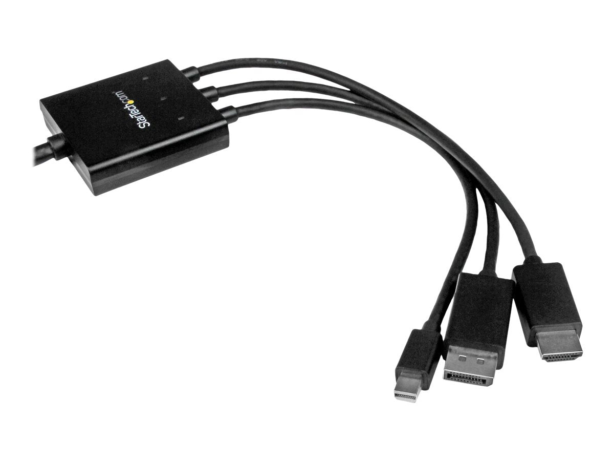 STARTECH.COM 2m HDMI, DisplayPort oder Mini DisplayPort auf HDMI Konverter Kabel - Anschlussansicht