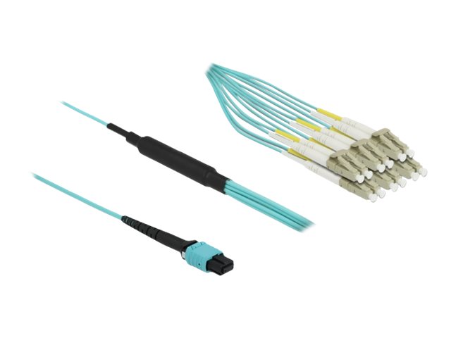 DELOCK LWL Kabel MPO Buchse zu 12xLC Duplex Stecker Multimode OM3 50/125 2m - Verpackung