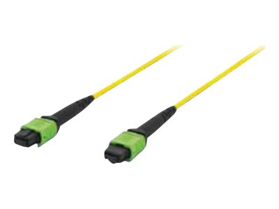 DIGITUS LWL Patchkabel MPO auf MPO Female OS2 Singlemode 2m - Vorderansicht