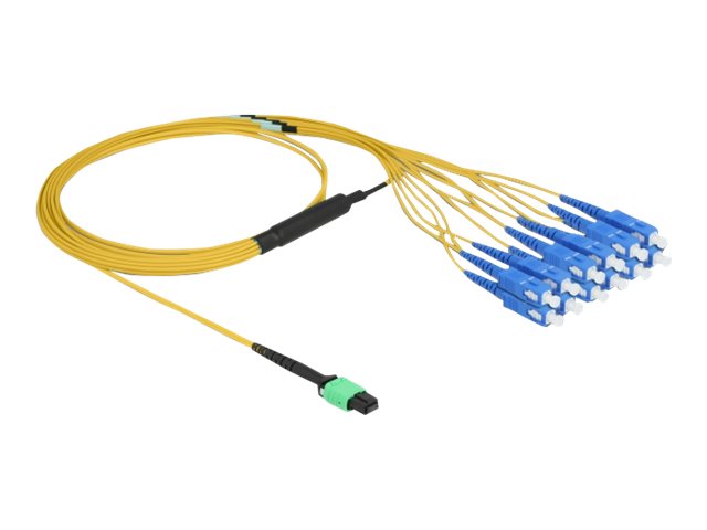 DELOCK LWL Kabel MPO Buchse zu 12xSC Simplex Stecker Verpackung