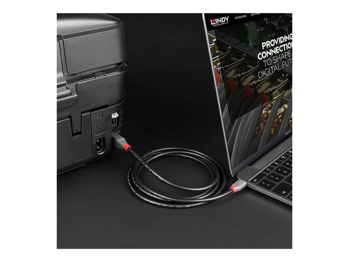LINDY 1m USB 2.0 Typ C an B Kabel Anthra Line - Vorderansicht