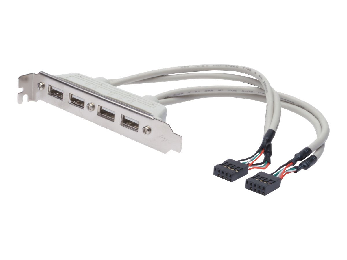ASSMANN USB Slotblechkabel 4x Typ A - 2x10pin IDC Bu/Bu 0,25m Vorderansicht