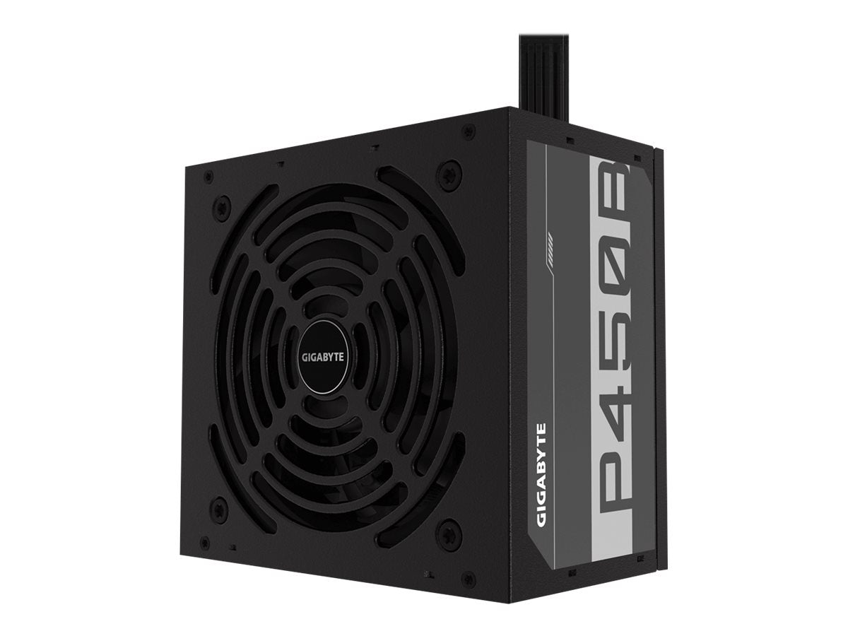 GIGABYTE GP-P450B Netzteil Anschlussmöglichkeiten