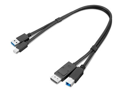 LENOVO ThinkStation mDP USB-A 3.0 to DP USB-B 3.0 Dual Head Cable - Vorderansicht