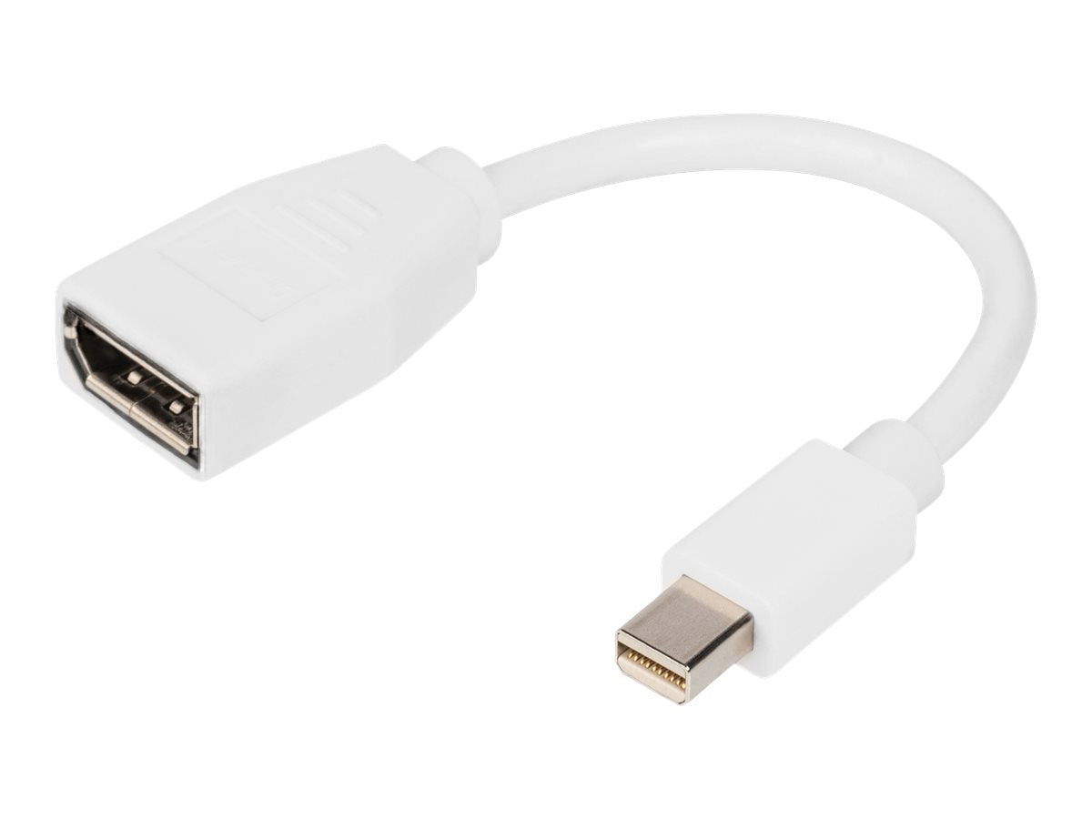 DIGITUS DisplayPort Adapterkabel mini DP - DPM/F 0,15m DP 1.2 conform Vorderansicht