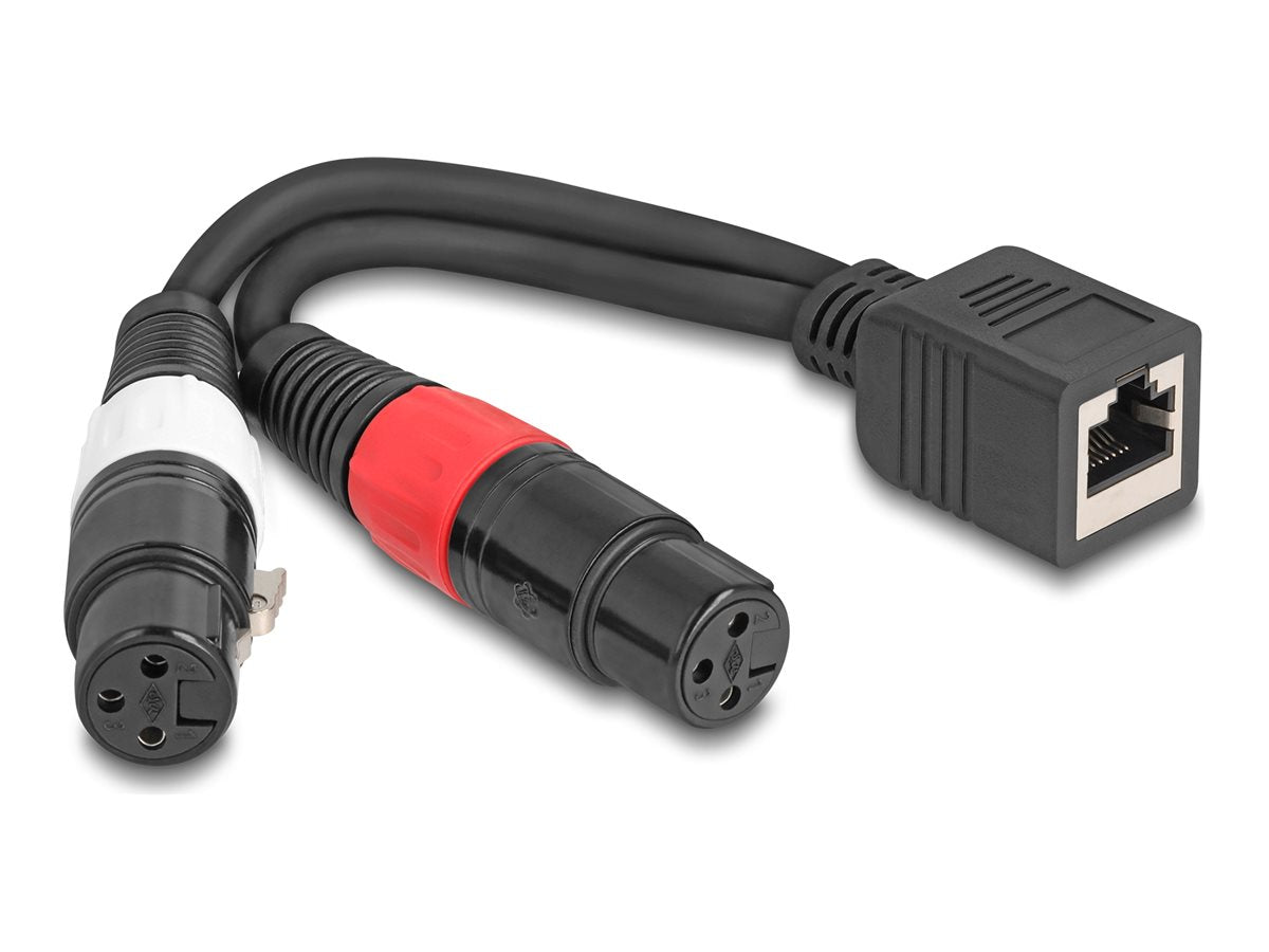 DELOCK Adapterkabel RJ45 Buchse zu 2 x XLR 3 Pin Buchse schwarz 20cm - Vorderansicht