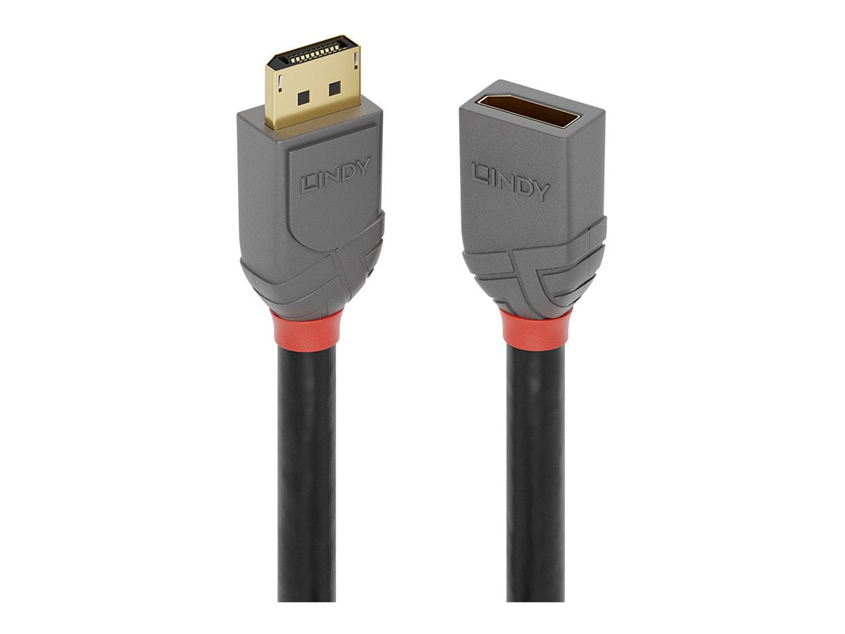 LINDY 2m DisplayPort Verlängerungskabel Vorderansicht