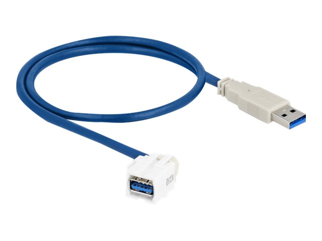 DELOCK Keystone Modul USB 3.0 A Buchse 250 > USB 3.0 A Stecker mit Kabel weiss - Vorderansicht