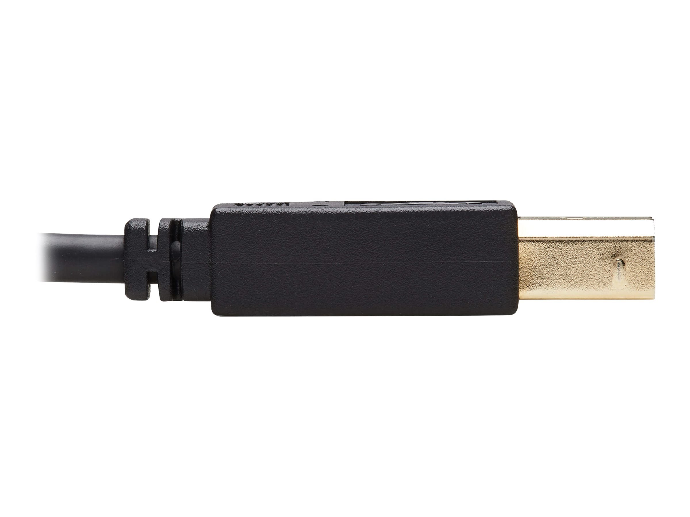 EATON TRIPPLITE HDMI KVM Cable Kit 4K HDMI USB 2.0 3,5mm Audio M/M BK 6 ft. - Vorderansicht