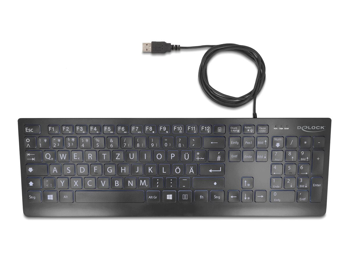 DELOCK USB Tastatur kabelgebunden 1,5m schwarz mit XXL Buchstaben und Beleuchtung - Vorderansicht