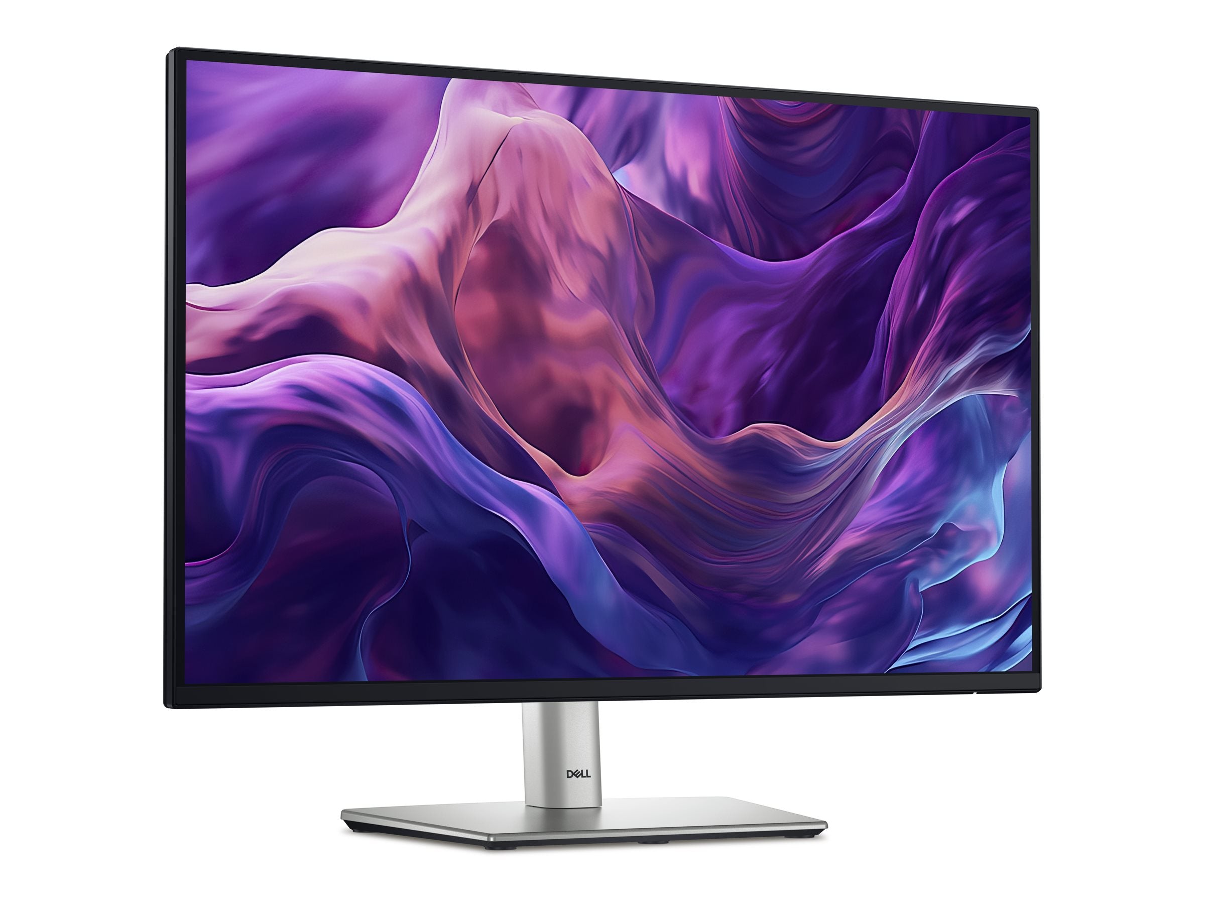 DELL P2425 Monitor Rückansicht