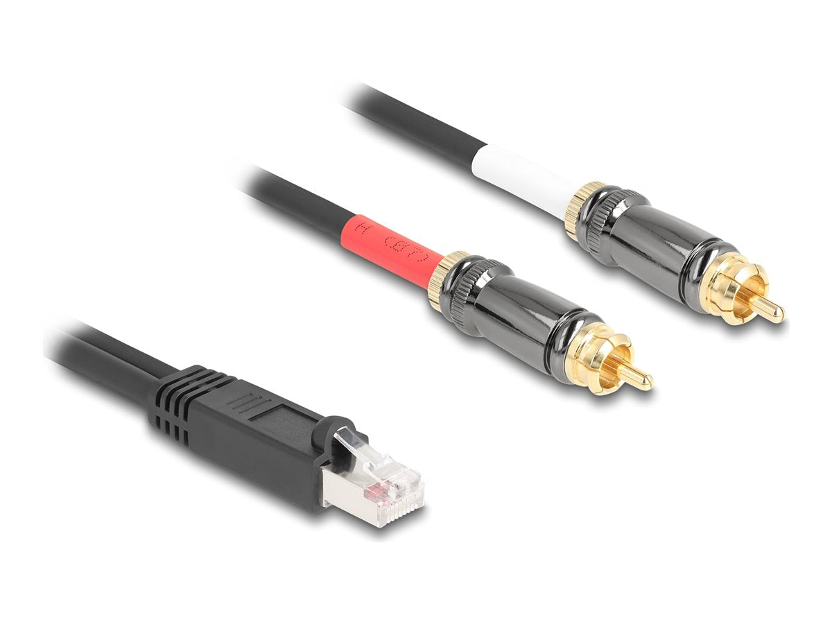 DELOCK Adapterkabel RJ45 Stecker zu 2 x Cinch Stecker schwarz 2m - Vorderansicht