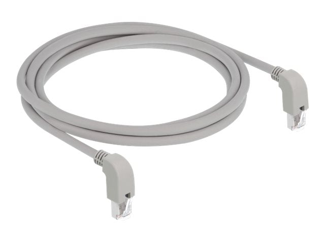 DELOCK Netzwerkkabel RJ45 Cat.6A S/FTP unten/unten gewinkelt 2m - Verpackung