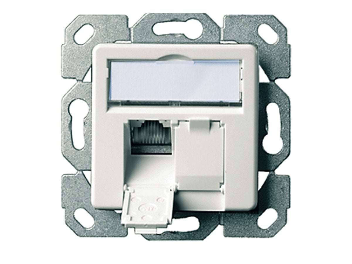 TELEGÄRTNER Dose AMJ45 UP/50 2 x RJ-45 Kat.5e Class D alpinweiss
