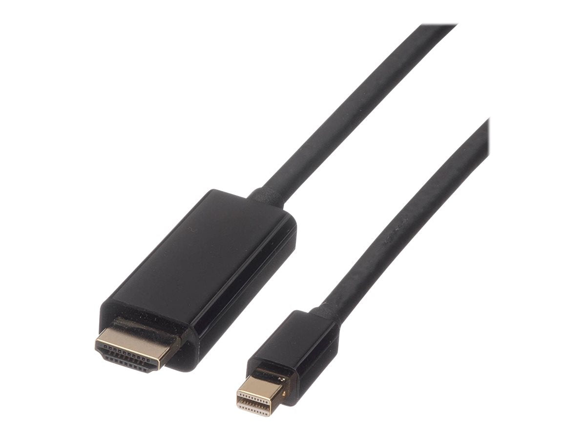 ROLINE Mini DisplayPort Kabel Vorderansicht