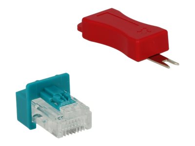 DELOCK RJ45 Secure Clip mit Stecker Set - Vorderansicht
