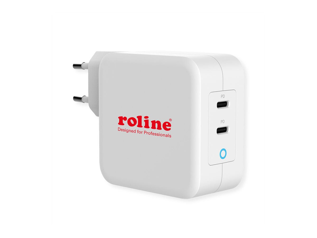 ROLINE USB Charger Anschlussansicht