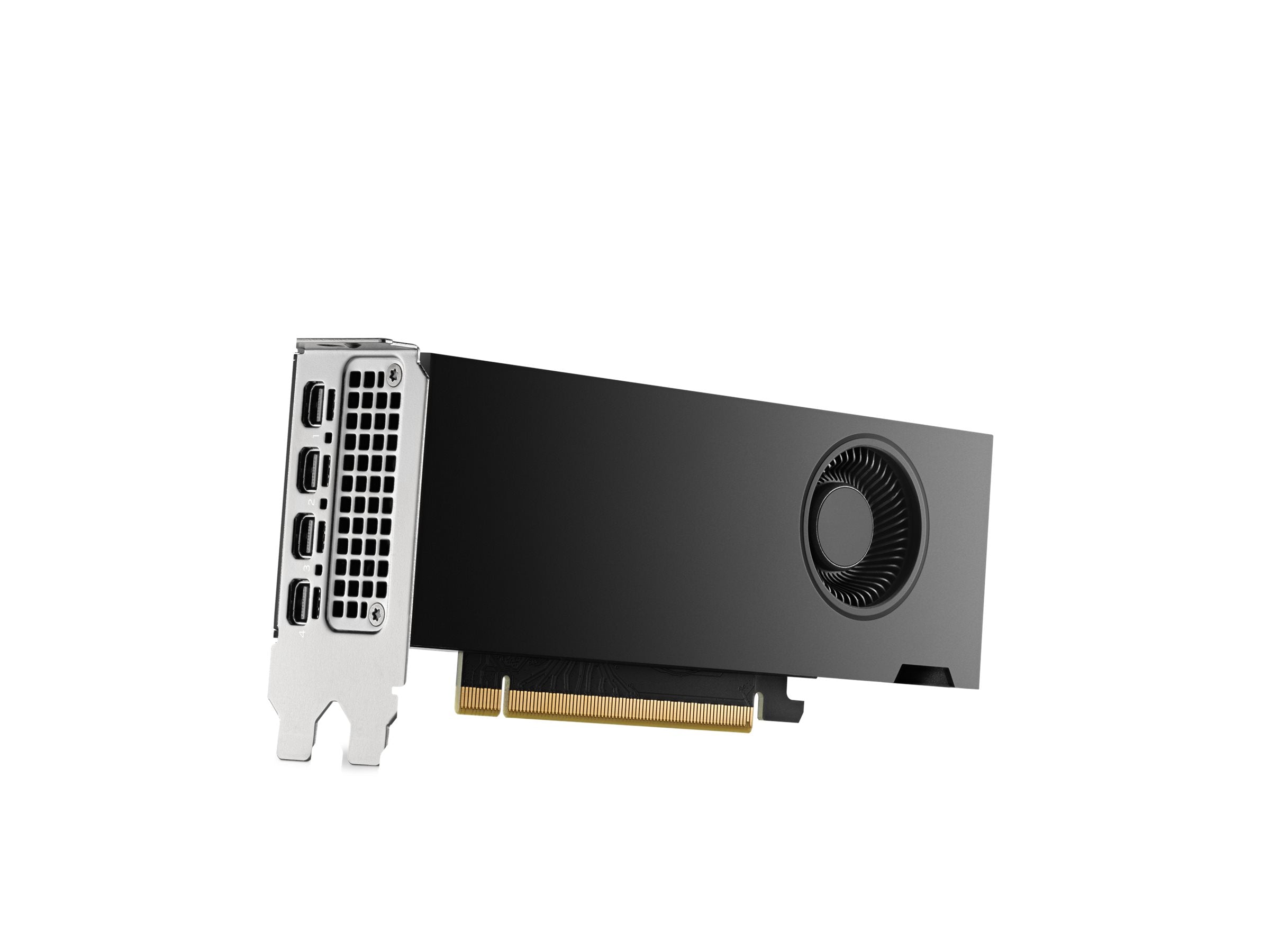 HP NVIDIA RTX 2000 Ada 16GB Grafikkarte Detailansicht