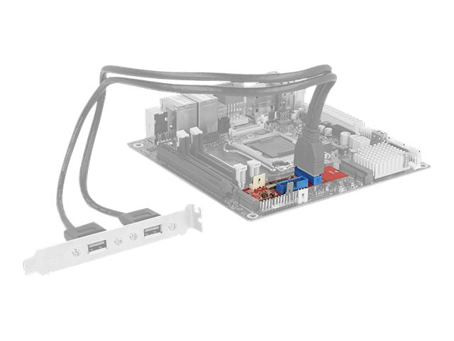 DELOCK Konverter M.2 Key B+M Stecker Verpackung