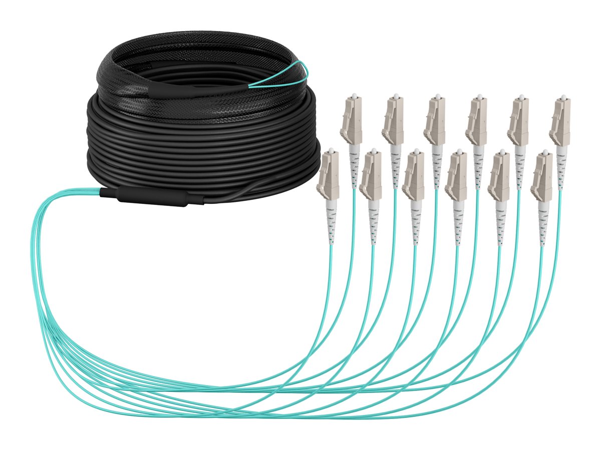 EFB Trunkkabel U-DQ ZN BH 12G 50/125 LC/LC OM3 40m - Vorderansicht
