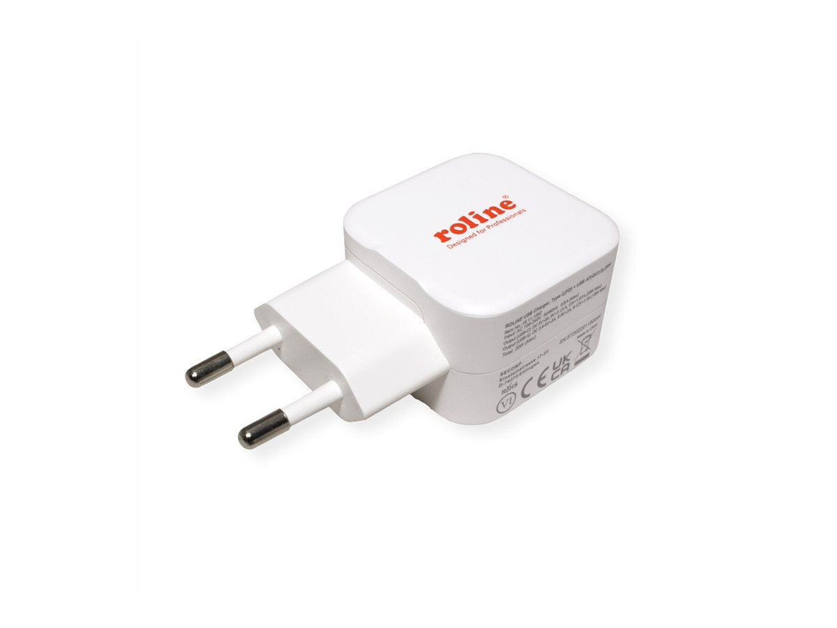 ROLINE USB Charger Verpackung