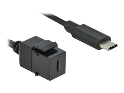 DELOCK Keystone Modul USB 3.0 C Buchse > USB 3.0 C Stecker mit Kabel - Vorderansicht
