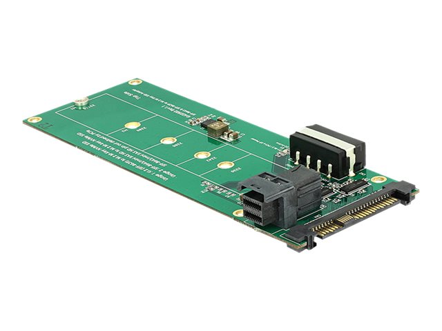 DELOCK Konverter U.2 SFF-8639 Vorderansicht