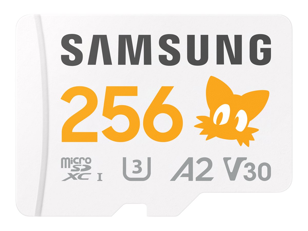 SAMSUNG Sonic microSD Speicherkarte 256GB Vorderansicht