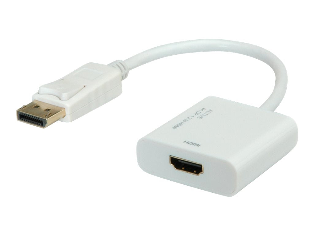 ROLINE 4K DisplayPort-HDMI Adapter v1.2 DP ST - HDMI BU Aktiv Verpackung