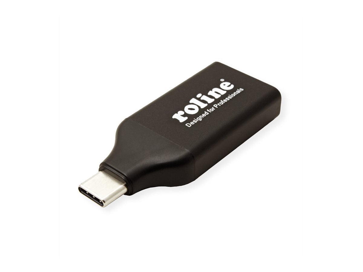 ROLINE Display Adapter USB Typ C - DisplayPort v1.2 Vorderansicht