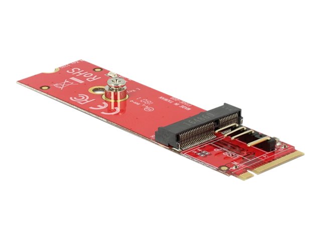 DELOCK Konverter M.2 Key M Stecker - Vorderansicht