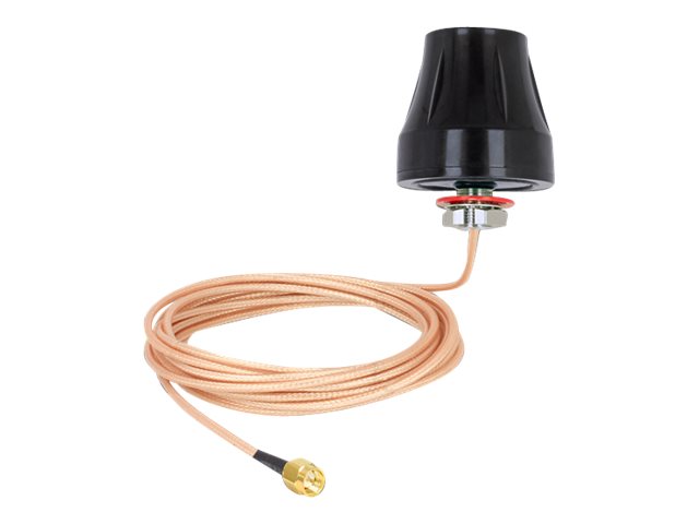 DELOCK LTE Antenne Vorderansicht