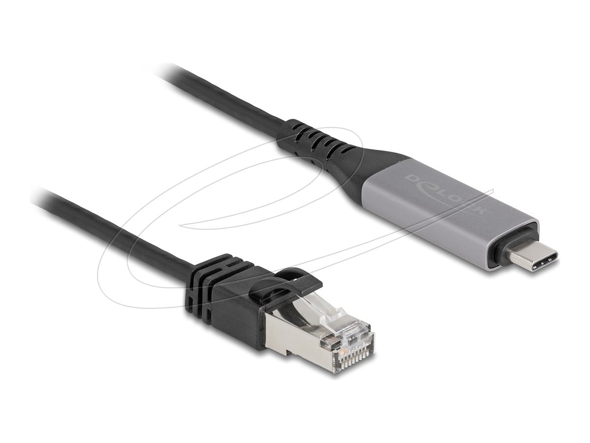 DELOCK USB LAN Kabel USB Type-C zu RJ45 Gigabit Ethernet 1m - Vorderansicht