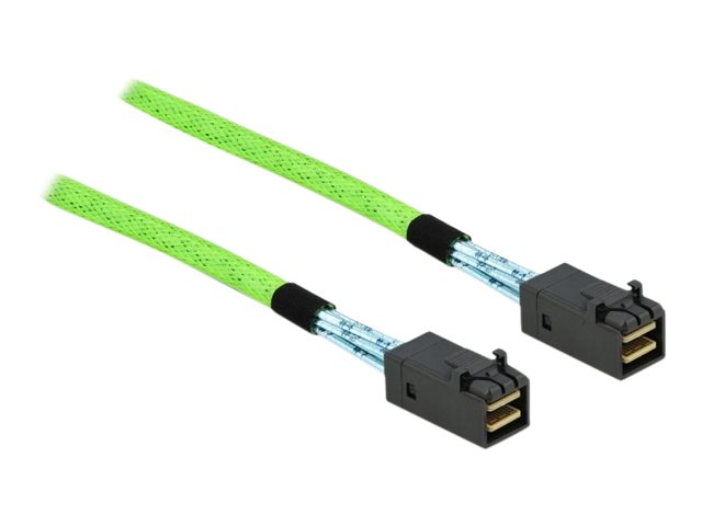 DELOCK PCI Express 4.0 Kabel Mini SAS HD SFF-8673 zu SFF-8673 1m - Vorderansicht