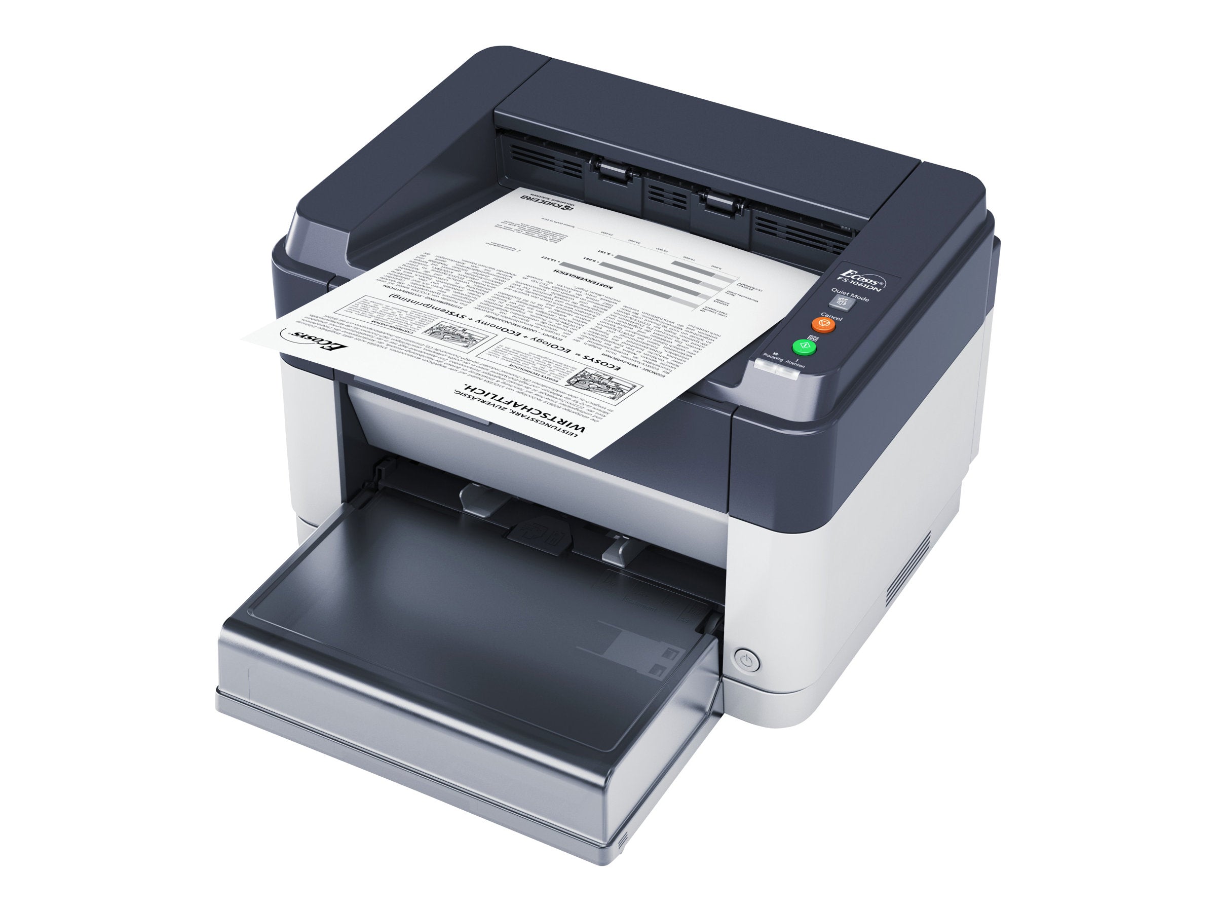 KYOCERA FS-1061DN ECOSYS Laser A4 mono Seitenansicht
