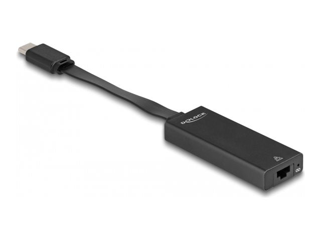 DELOCK USB Type-C Adapter zu Gigabit LAN slim - Vorderansicht
