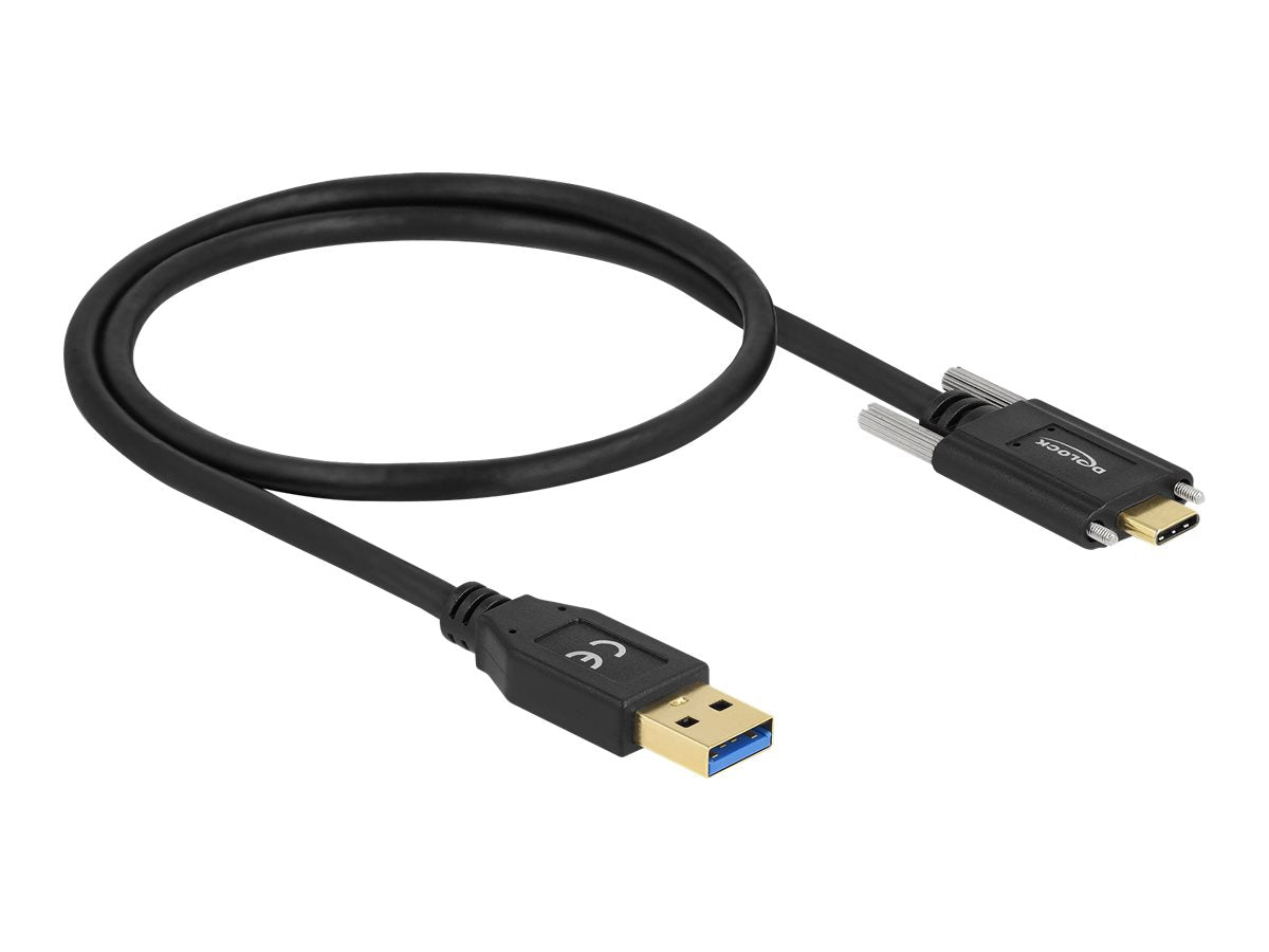 DELOCK SuperSpeed USB 10 Gbps Kabel Typ-A zu USB Type-C Vorderansicht