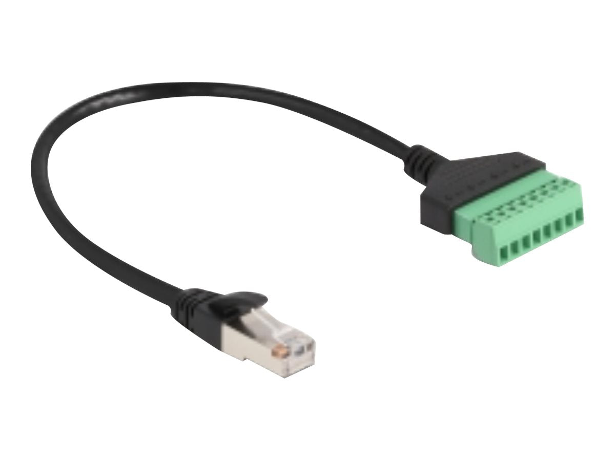 DELOCK RJ45 Kabel Cat.6 Stecker zu Terminalblock Adapter Vorderansicht