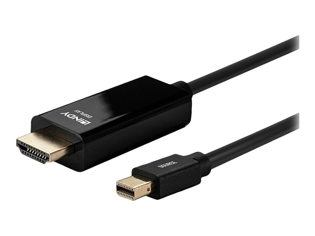 LINDY Kabel Mini DisplayPort/HDMI 4K30 DP - Detailansicht Stecker