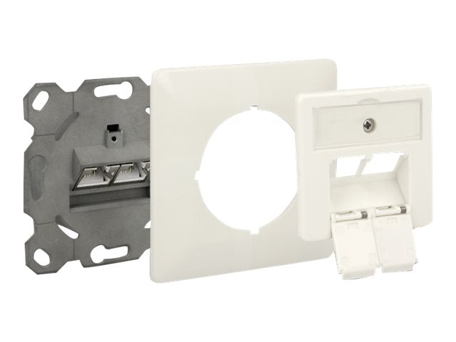DELOCK Netzwerk Anschlussdose Unterputz 2 Port Cat.6A LSA - Verpackung