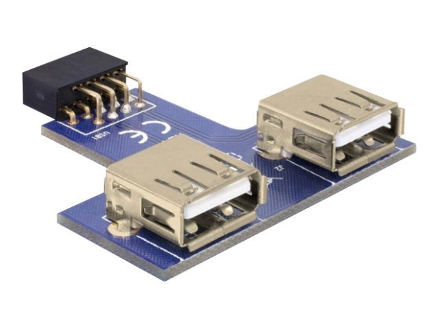 DELOCK MBz USB Pinheader Bu > 2x USB2.0-A Bu ne - Vorderansicht