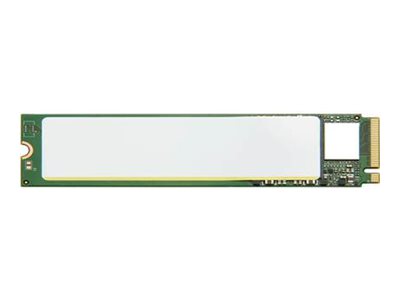 DELL 960G NVMe RI FIPS-140 M.2 Single Stick N1 CK - Vorderansicht