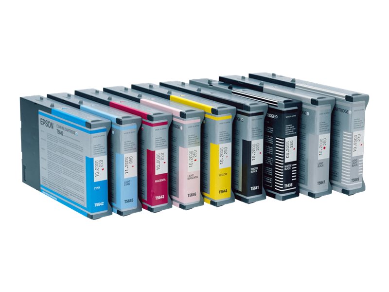 EPSON T6141 Tinte foto schwarz Vorderansicht
