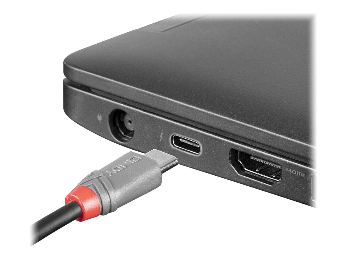 LINDY 0,5m USB 2.0 C/Micro-B Anthra Line Kabel - Anschlussansicht