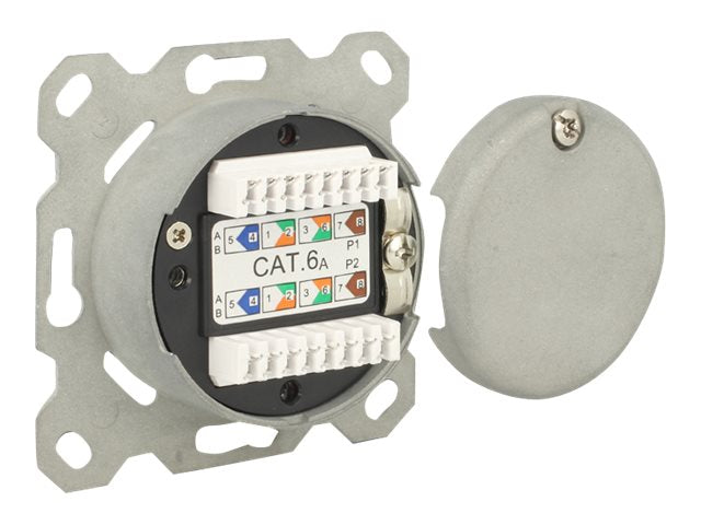 DELOCK Netzwerk Anschlussdose Unterputz 2 Port Cat.6A LSA - Vorderansicht