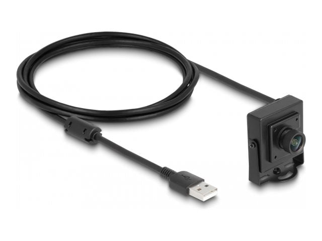 DELOCK USB 2.0 Kamera 2,1megapixel 100 Fixfokus - Vorderansicht