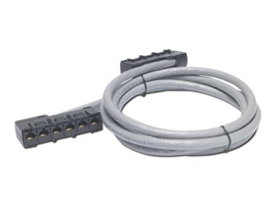 APC Data Distribution Kabel CAT5e UTP CMR Gray 6xRJ-45 Jack Vorderansicht