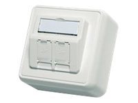 TELEGÄRTNER Aufputzdose Modulaufnahme reinweiss 2-fach