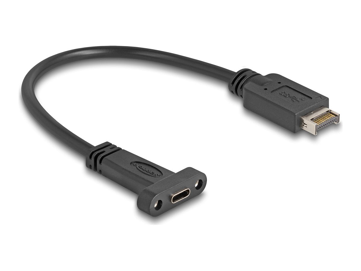 DELOCK USB 10 Gbps Kabel USB Typ-E Key A 20 Pin Stecker zu USB Type-C Buchse Vorderansicht
